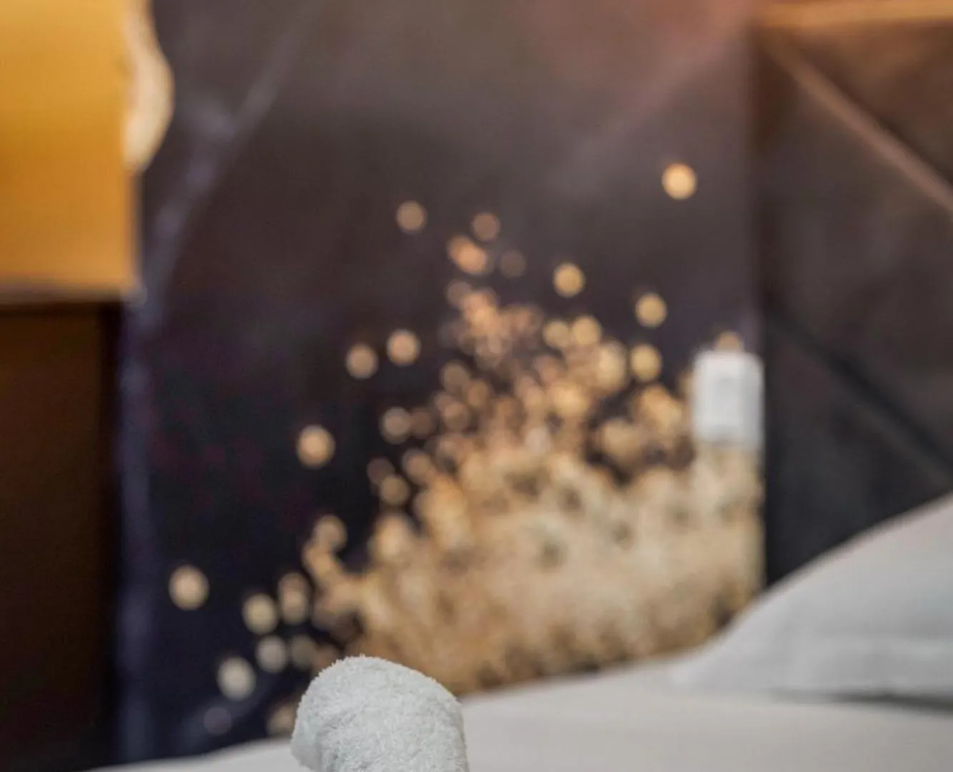 Appartement L'Ame Etoilee - Love Room Avec Balneo & Sauna Grenoble Frankrijk